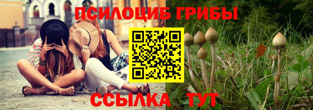 Псилоцибиновые грибы прущие грибы  продажа наркотиков  Мегион  Галлюциногенные грибы мицелий  Вход с VPN 