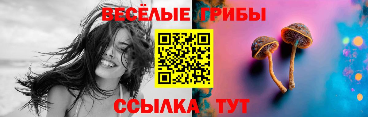 Псилоцибиновые грибы прущие грибы Мегион